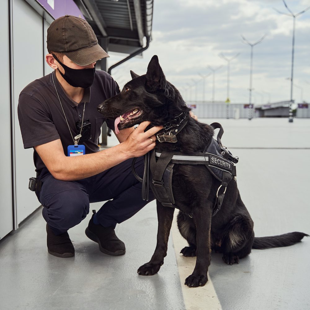 male-security-worker-petting-police-dog-at-airport-2021-09-04-14-28-15-utc.jpg